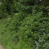 Leder nákup a prodej průmyslového zboží