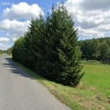 Mourek Miroslav - AUTODÍLNA M + J