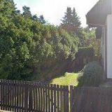 Králová Drahoslava