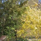 Hořánková Zdeňka - STAVEBNÍ FIRMA