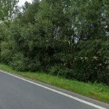 DŘEVO ČECHY, spol. s r.o.