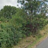 Tomášek Milan - AUTOSERVEX