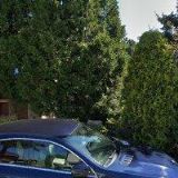 Pechan František - Agentura PETR