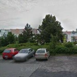 obrazek: avatar Groskopfová Alena