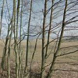 Obecní úřad Mileč