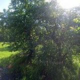 Obecní úřad Puclice