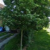 Obecní úřad Všekary