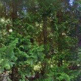 Městský úřad Kožlany