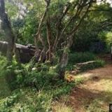 Obecní úřad Obora 