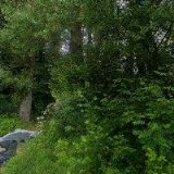 Obecní úřad Tisová