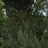 Univerzita Karlova v Praze