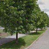 24.Mateřská škola