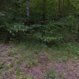 Nestátní dopravní zdrav. služba