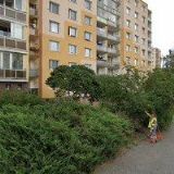 Berka Petr - Moderátor a DJ pro každou Vaší akci!