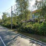 PIZZERIA LA PIAZETTA