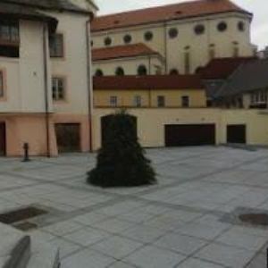 obrazek: avatar U PARDÁLA