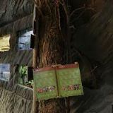 GORENJE - značková prodejna