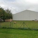 Vlasta Růžičková