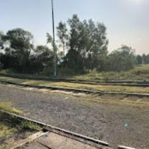 obrazek: avatar Kynologický klub Bor 