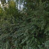 Pechan Roman kompl.nakládání s odpady