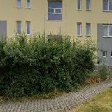 WESTTRANSPORT Plzeň a.s.