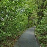 Kadeřnický salon COLOR