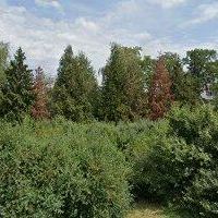 ARBORISTICKÁ OBCHODNÍ s.r.o.