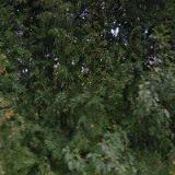 AUTODOPRAVA Chládková