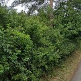 Václav Švec - vrata, brány, pohony, elektroinstalace