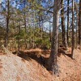 Bohumil Drahota D+H Foto