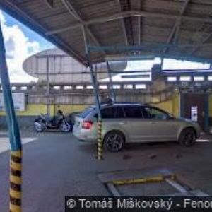 obrazek: avatar Pneu - ŠAFRÁNEK