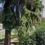 Autodíly ŠKODA - SATO Klatovy (Klatovy)