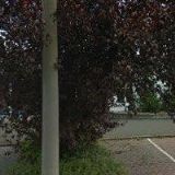 M. LIŠKA, spol. s r.o.