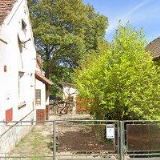 Milan Čejka - Viking