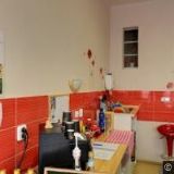 Dobrá Čajovna (Plzeň-město)