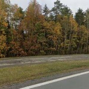 obrazek: avatar Motorest sv. Hubert