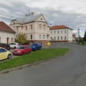 obrazek: avatar Český lev