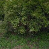 U Vincenta - pivnice a vinárna