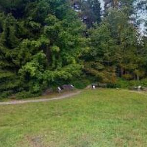 obrazek: avatar EnergoSlužby, s.r.o. - Ubytovna Rokyta