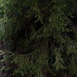 Jan Gilian - Horská chata Hamry