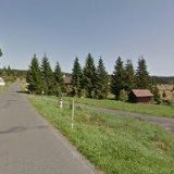 Liga Lesní Moudrosti