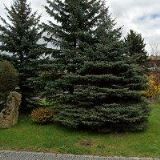 Hotel Slunce Chodová Planá, spol. s r.o.