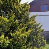 Jaroslav Malý - Hotel Na Pastvinách