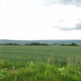 Iveta Řezníčková - Bistro