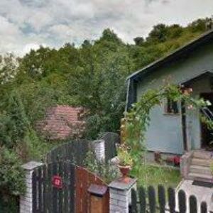 obrazek: avatar Jiří Fortelka - Pension Bar Lion