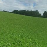 Luboš Naar - Penzion U Šnečků