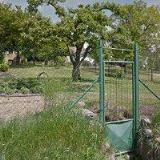 Václava Sojková - Nela