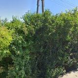 Gustav Leihs - Penzion U Leihsů