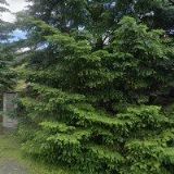 Zuzana Kojzarová - Penzion Muflon