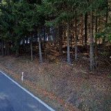 MUDr. Anna Škáchová